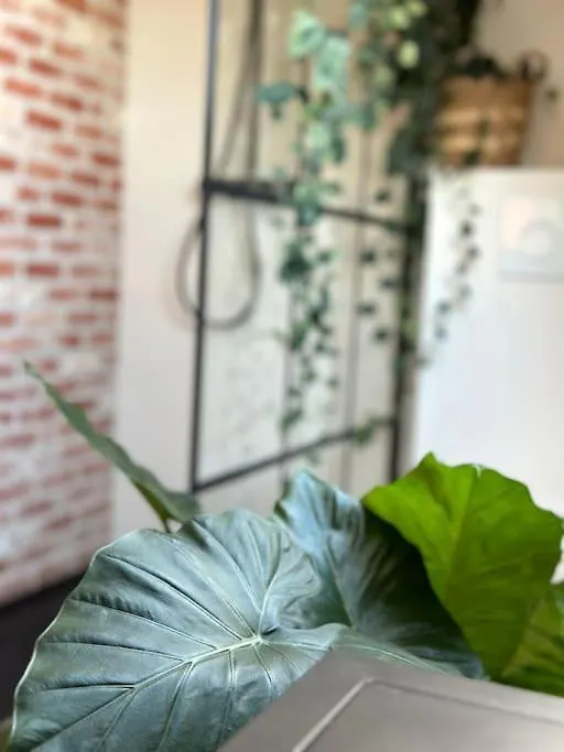 Vakantie Duplex Couverme Nieuwpoort Apartamento